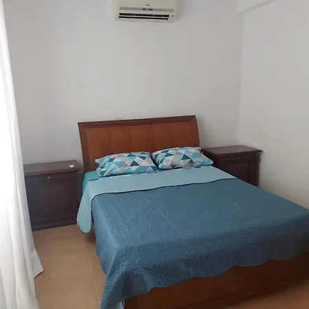 The T بروتاراس